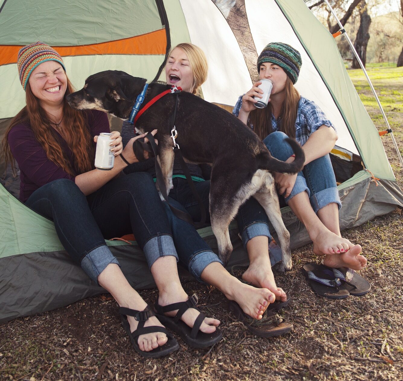 Cheerful Women Enjoying With Dog At Camp Site