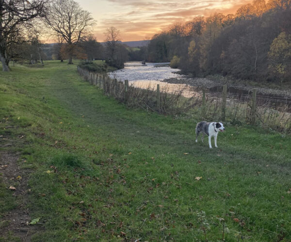 Featherston river and Elan